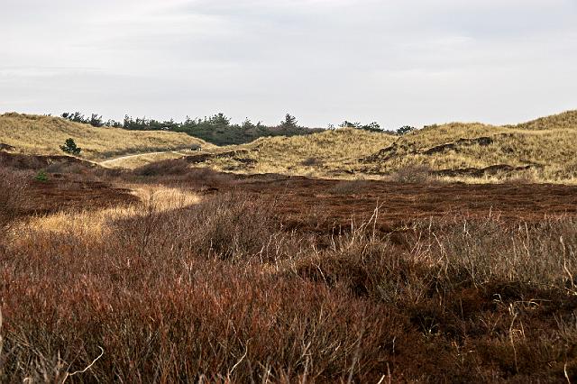046 Texel.jpg